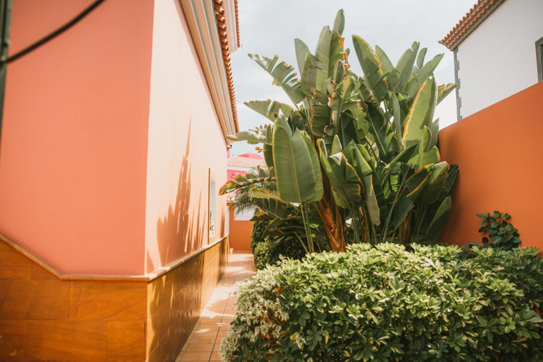 Villa Morada Sonneland Con Piscina Privada Climatizada Maspalomas  Extérieur photo